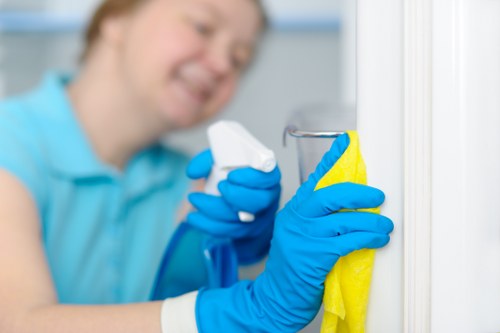 Investigation of a carpet cleaning service concern