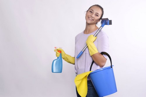 Deep carpet stain removal and fibre care in Brimsdown