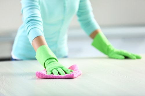 Risk assessment in progress before a carpet cleaning appointment