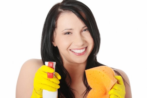Cleaner assessing carpet cleaning risks in a property